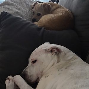 Meet your Posher, Daniela